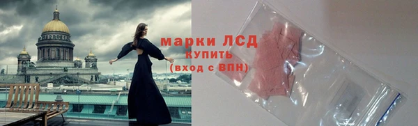 мяу мяу мука Михайлов