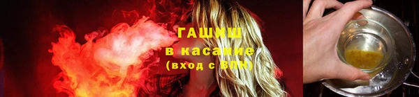 мяу мяу мука Михайлов