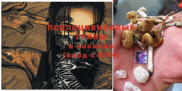 спайс Михайловск