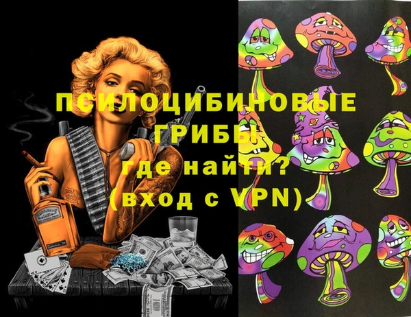 мяу мяу мука Михайлов