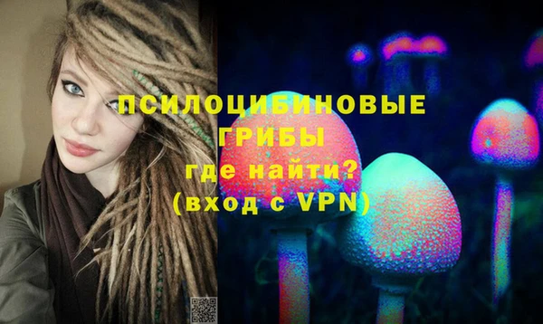 мяу мяу мука Михайлов