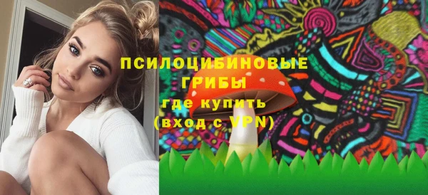мяу мяу мука Михайлов
