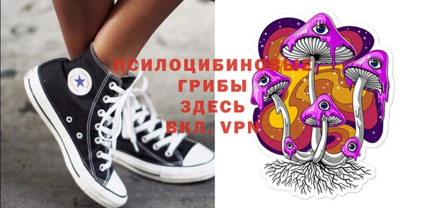 мяу мяу мука Михайлов